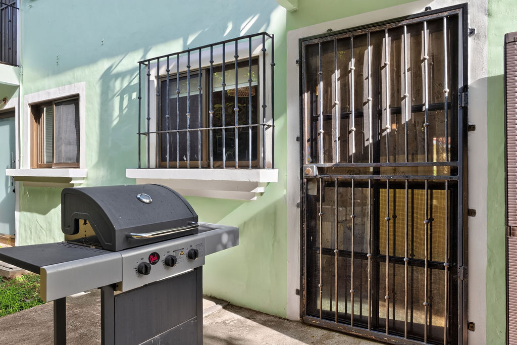 Back patio with gas grill